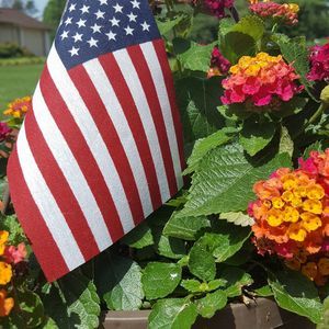 Meet your Posher, Mitzie